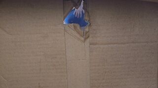 This Glory Straight Edge Hole Point Of Cock Box Dangling Close Up Cock Twink Shorties