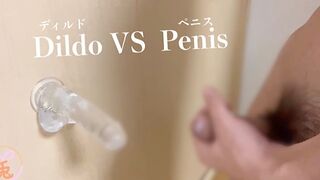 Penis VS Dildo