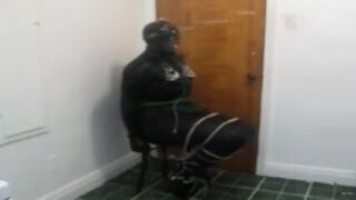 Chair Bound Tran