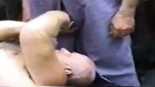 Daddy Bears On A Bench