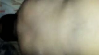 Bear Daddy's Cock Craze