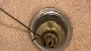Bear Shoves Meat In Hole