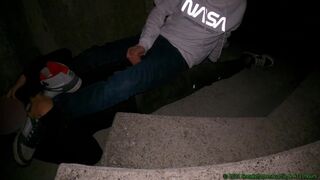 Sniffing friends DC Shoes and socks