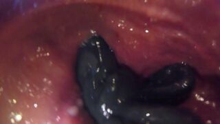 Dual View: Fucking myself with my pup