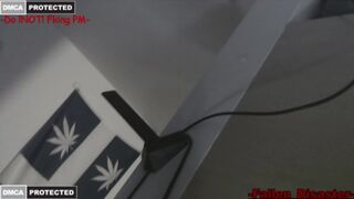 cbt ban #29 declaration 