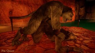 Wolf and gray tiger found a secluded spot in a cave to secretly have sex - Wild Life