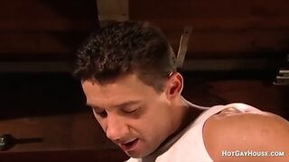 Sexy Gay Folks Enjoying Hardcore Anal Sex