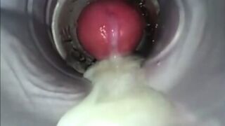 Amateur Big Cock Handjob Masturbation