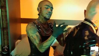 AXELABYSSE Canis Lupus