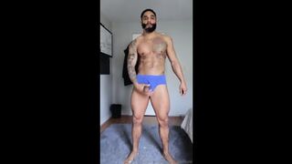 Boxer Haul