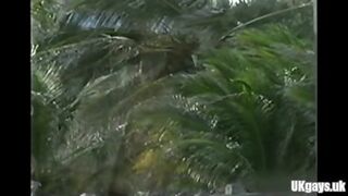 Muscle Gay Rimjob And Cumshot