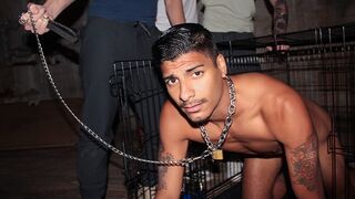 Humiliated Frat Pledger Apollo Endures Sexy Hazing: Dog Caged, Water Bowl, and Anal Submission