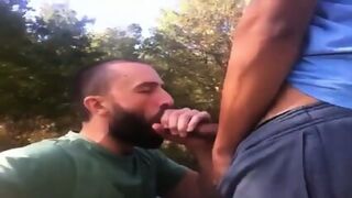 Big Cock Blowjob Outside