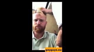 Gay Threesome Sucking Cock