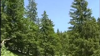 Austrian Gigolos - Scene 4