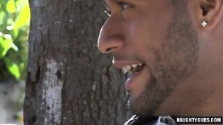 Muscle Gay Anal Sex And Facial
