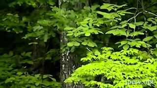 Butt Fucking And Video Taping