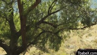 Gorgeous Tanned Ts Sweetheart Crystal Gives Outdoor Blowjob