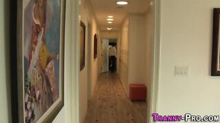 Shemale Babe Sucking Dick
