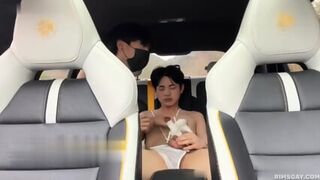 Chinese Carsex