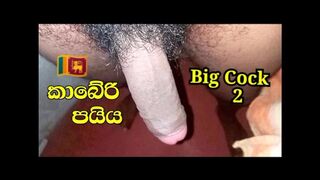 Let's take the big black pie in the mouth,හුත්ත පතුරු යනකන් කාබේරි පයියේ රස බලමු