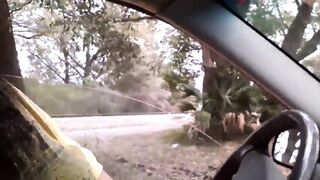 Jerking Off Roadside After Class