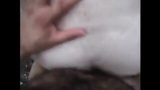 Bears In The Woods Part 2