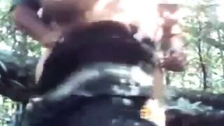 Bear Fucks Ass In Woods