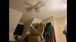 Dog Just want a bone