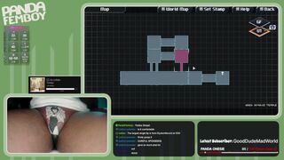 PandaFemboy Plays CrossCode Part 20