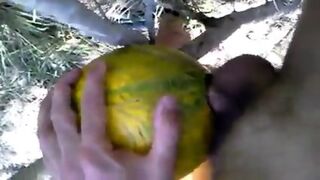 Outdoor Fun With Melon
