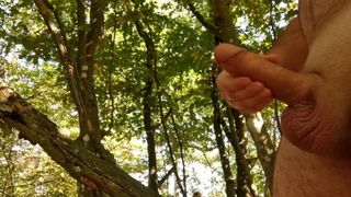 Calm long jerking off my big cock in public forest. Iamhornybobo