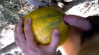 Outdoor Fun With Melon