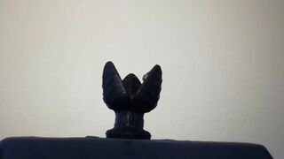 Big Plug Anal