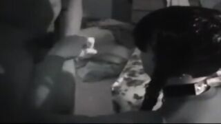 Vid