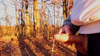 Long jerk through a lovely sunset. Huge load as the happy end
