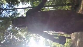 Another Walk