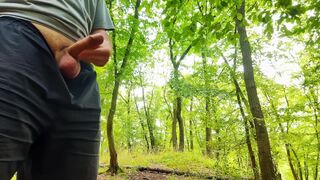 Big dick cums four times in a row in public forest