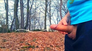 Two huge cumshots in public on a windy day