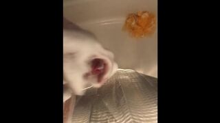 Small uncut cock shower jerk off jack off