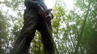 I masturbate my cock outside in the bushes and cum.