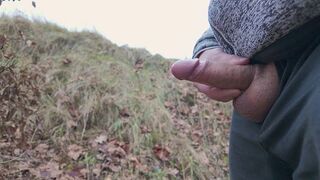 Three ruined orgasms in public on a cold day. 4K Iamhornybobo