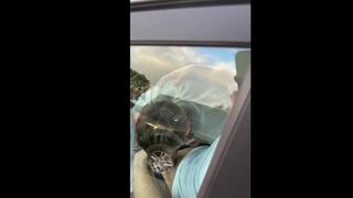 Chav boys caught car dogging in local park