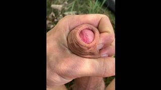 Massive load outdoor Dutch dunes