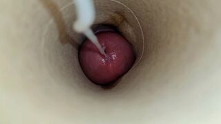 Suck my dick and swallow a huge load of sticky cum POV