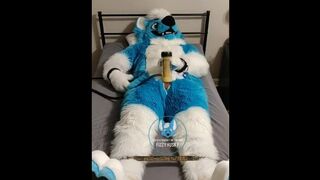Murrsuiter milks himself