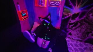 Alleycat paws off with new toy