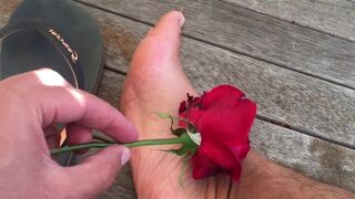 ROSES ARE RED MY FEET ARE FOR U - MANLYFOOT - FLIP FLOP LIFE - VISIT AN AUSTRALIAN WINERY ep 3