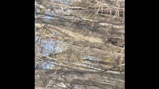 Backwoods Flashing Cock Cruising - Dane Coxx