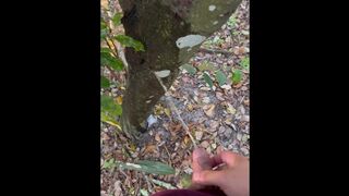 Pissing compilation w/ bonus